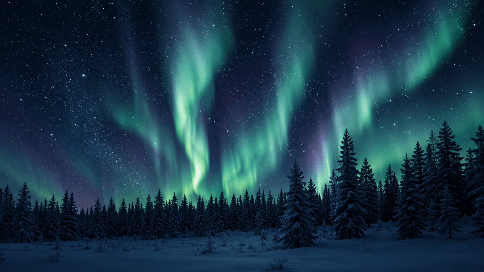 Revontulet kuusimetsän yllä Syötteellä